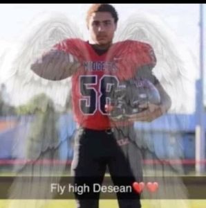 Meet your Posher, Dawn